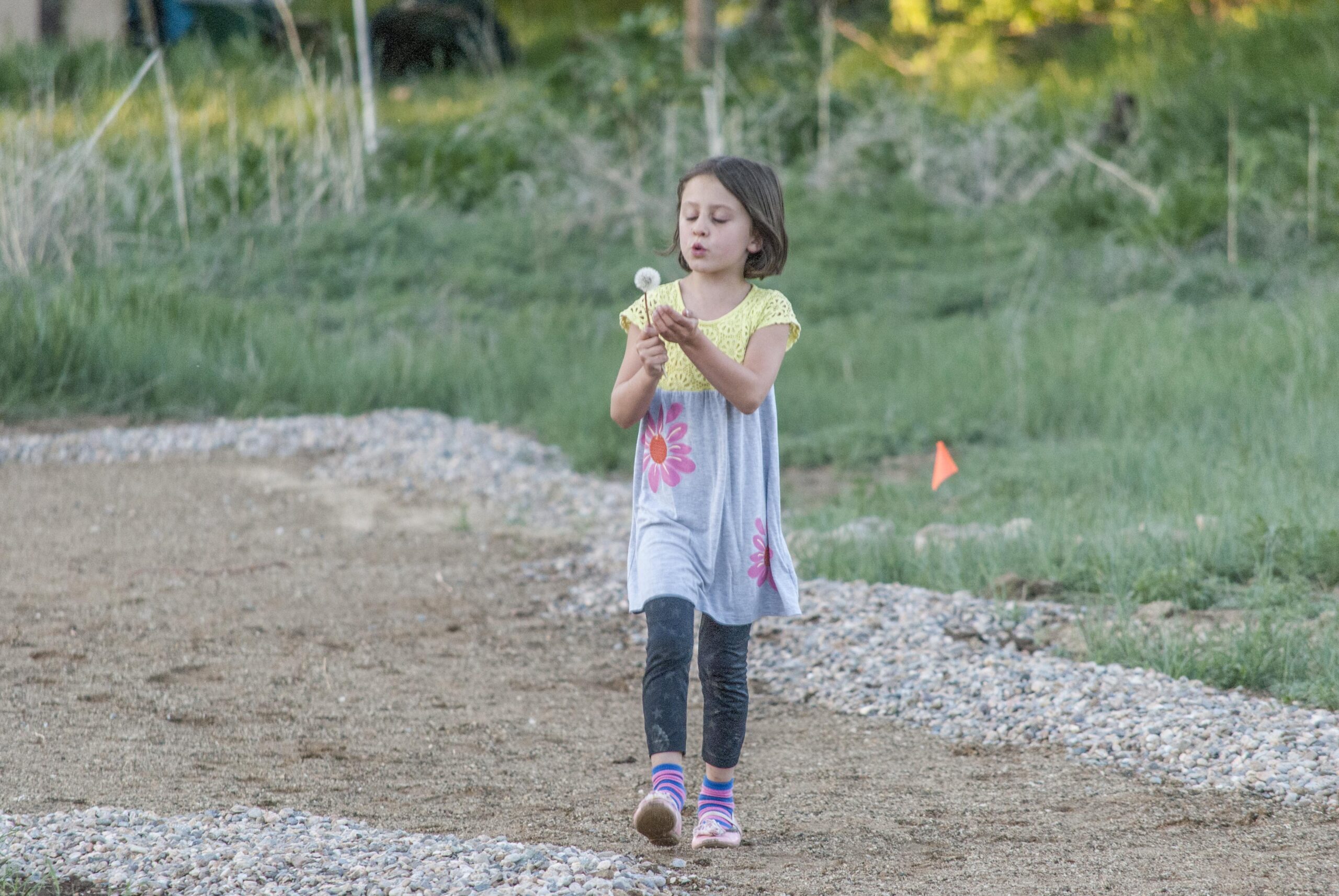Safe Routes to Parks Taos Land Trust