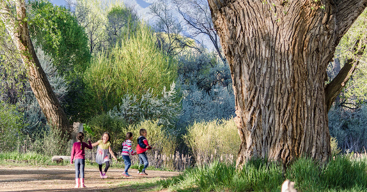 homepage Taos Land Trust