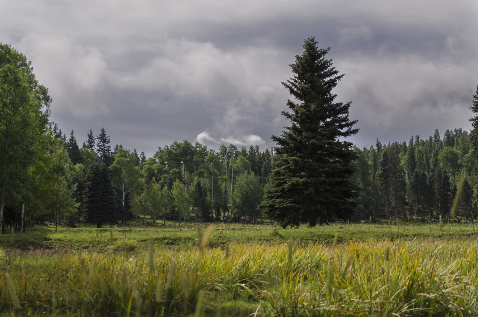 We’ve Got to Take Care of Our Community Taos Land Trust