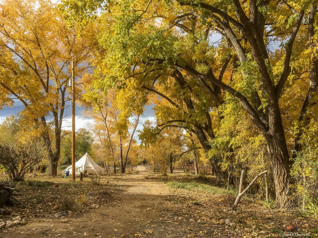autumn colored trees along a dirt path at Rio Fernando Park