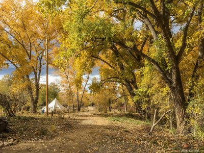 autumn colored trees along a dirt path at Rio Fernando Park
