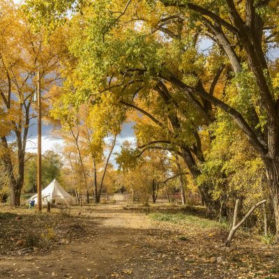autumn colored trees along a dirt path at Rio Fernando Park