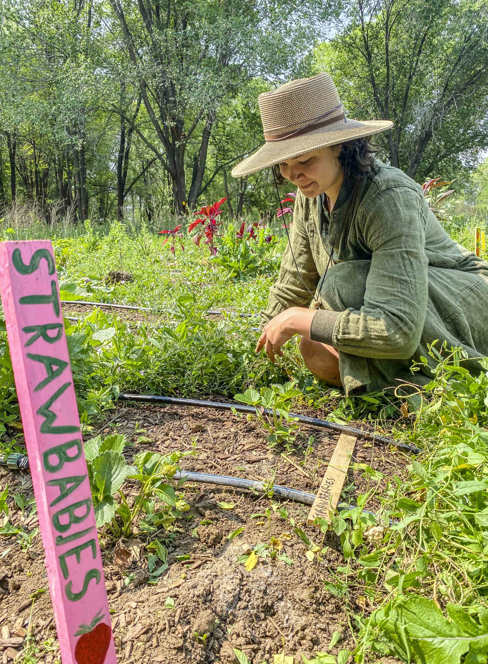 Vista Grande Gardens at Rio Fernando Park Taos Land Trust
