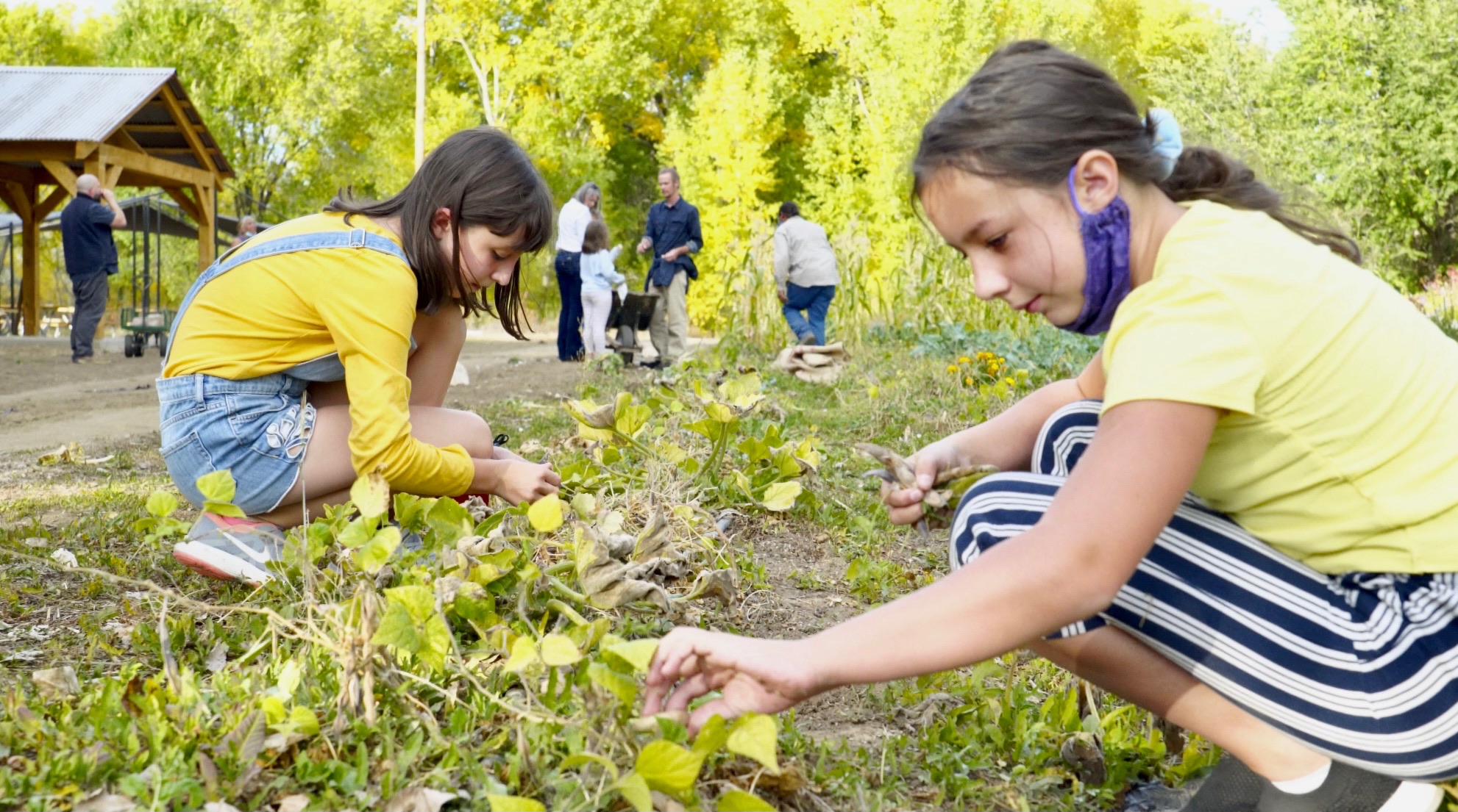 Taos Land Trust Taos, New Mexico