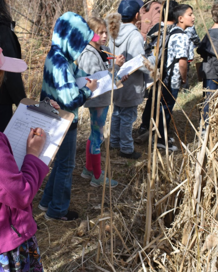 children learning outdoor hands on conservation education