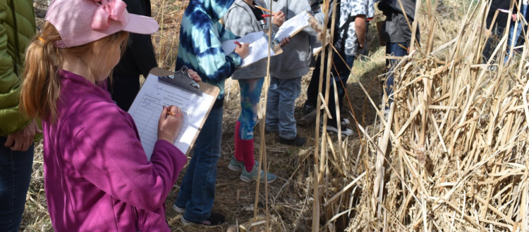 children learning outdoor hands on conservation education